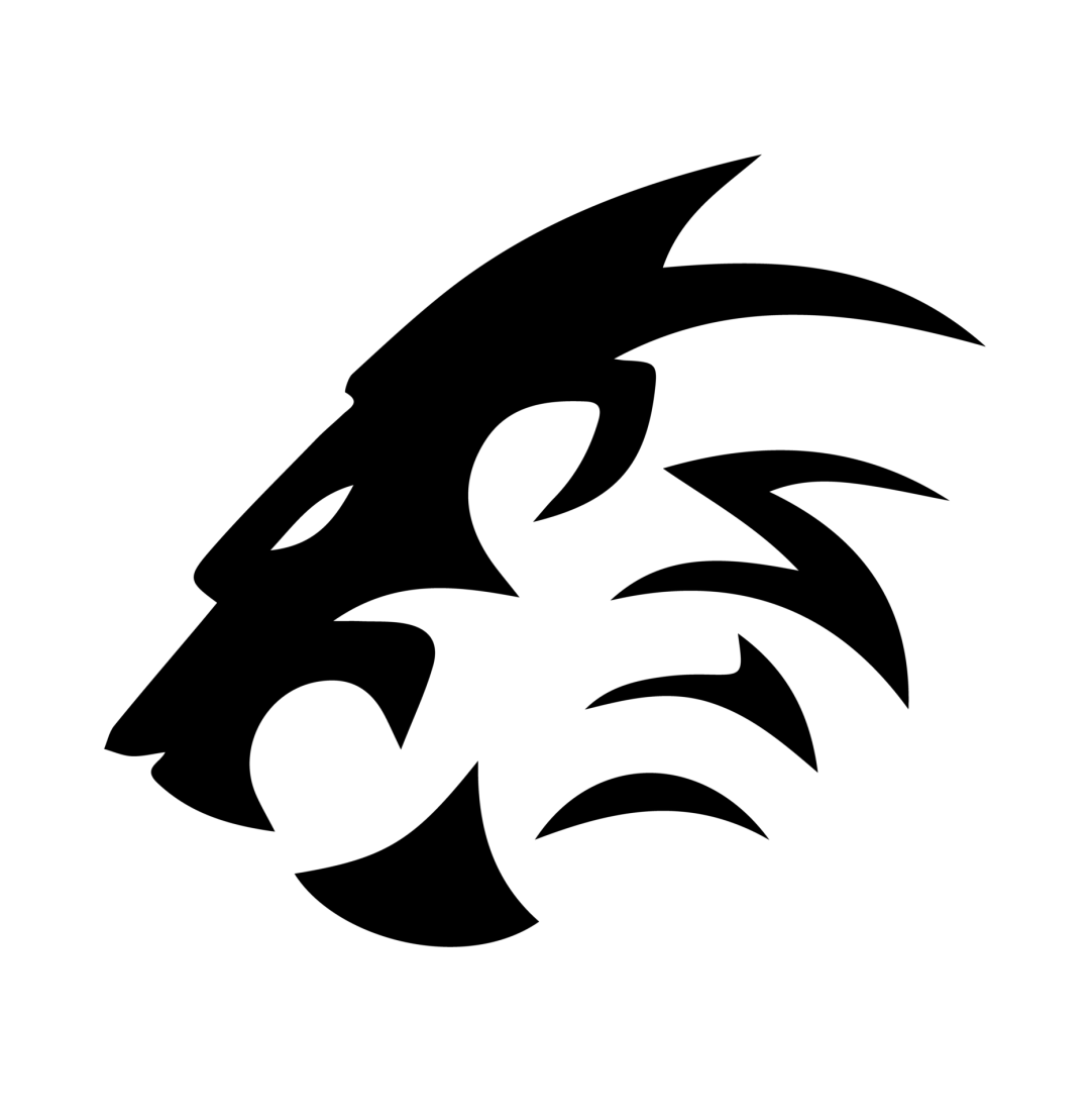 DM08