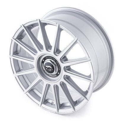Damina Performance | DM09 | Silver Painted