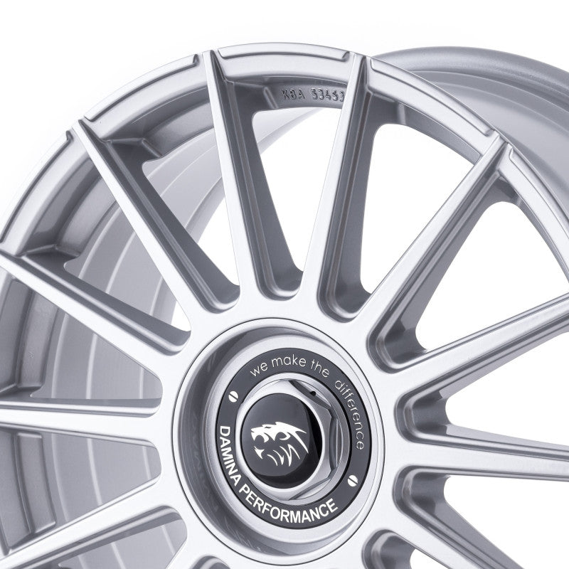 Damina Performance | DM09 | Silver Painted