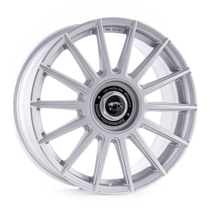 Damina Performance | DM09 | Silver Painted