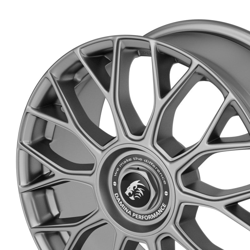 Damina Performance | DM10 | Grey Matt