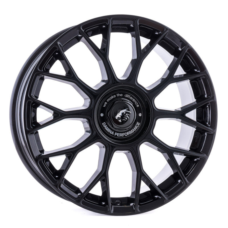 Damina Performance | DM10 | Black Painted